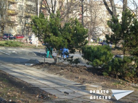 Единство, творчество, красота в парка Заимов