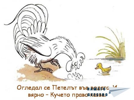 В. Сутеев