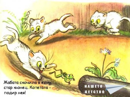 В. Сутеев