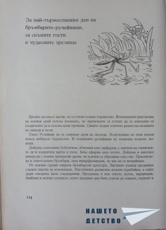 "Фердо Мравката" - Ондржей Секора (продължение)