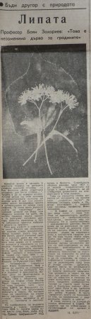 РаДеЦки Глашатай брой 6