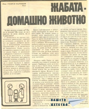 РаДеЦки Глашатай брой 6