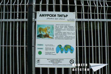 Рицарят на бялата дама – тридесет години по-късно