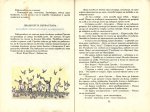 Приключенията на Моливко и Сръчко