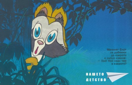 Малкият Енот