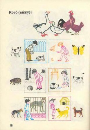 Русский язык в картинках