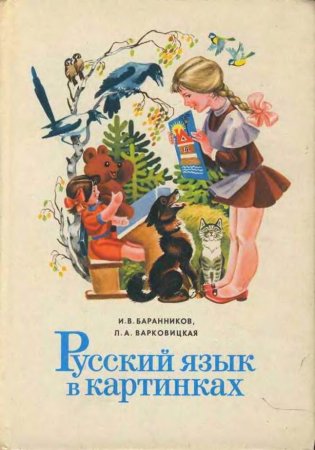 Русский язык в картинках