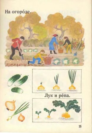 Русский язык в картинках