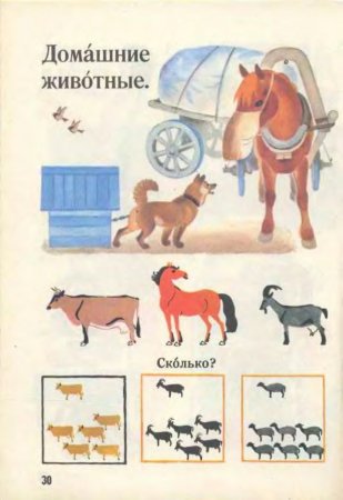 Русский язык в картинках