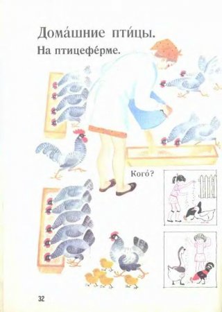 Русский язык в картинках