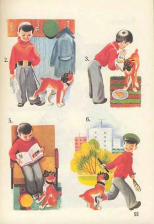 Русский язык в картинках