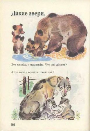 Русский язык в картинках