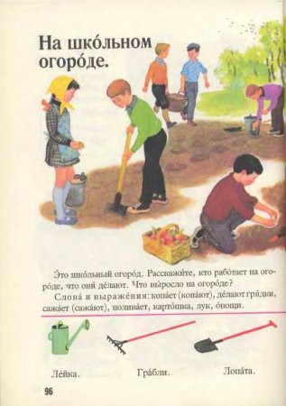 Русский язык в картинках