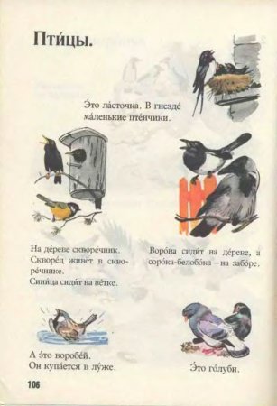 Русский язык в картинках