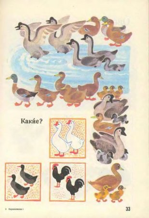Русский язык в картинках