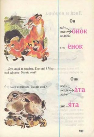 Русский язык в картинках