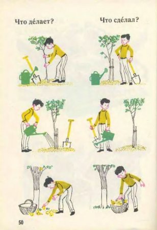 Русский язык в картинках