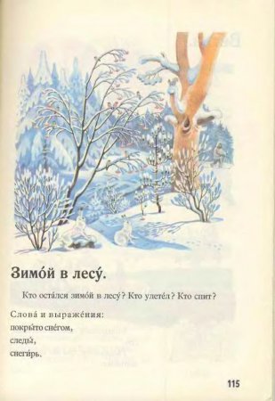 Русский язык в картинках