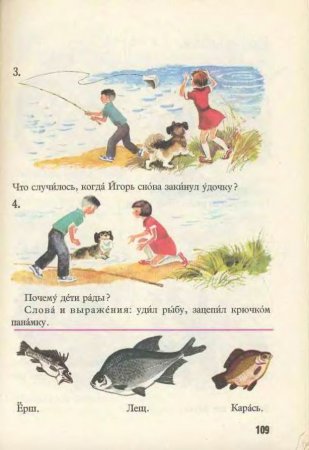 Русский язык в картинках