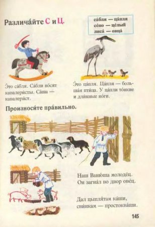 Русский язык в картинках