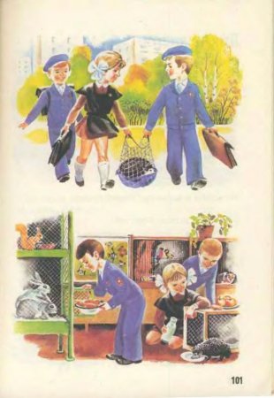 Русский язык в картинках