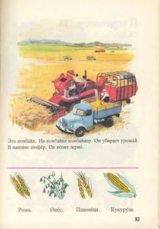 Русский язык в картинках
