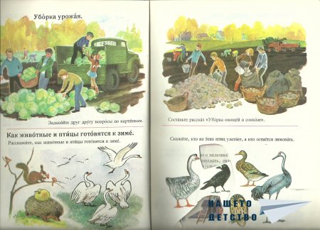Русский язык в картинках 2