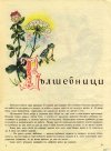 Червената Шапчица и други приказки