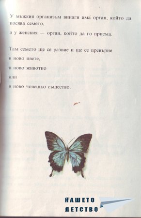 Истината за бебетата