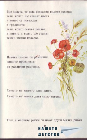 Истината за бебетата