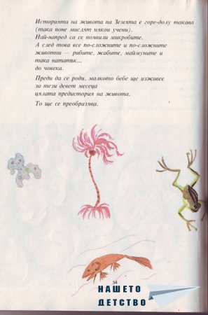 Истината за бебетата