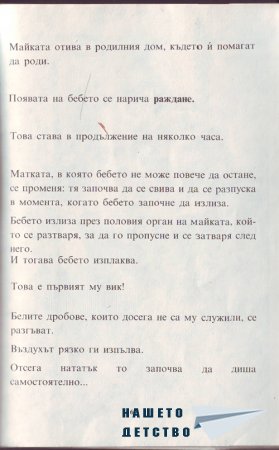Истината за бебетата