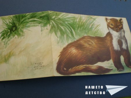Картички с животни