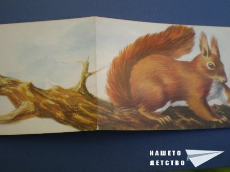 Картички с животни