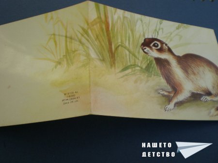 Картички с животни