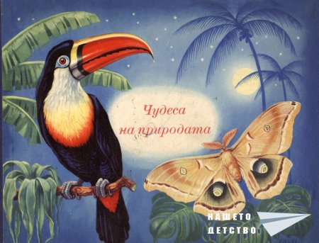 "Чудеса на природата" или "Рудолф Арнолд" - Лайпциг № 1