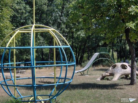 Още една останала каменна костенурка в София