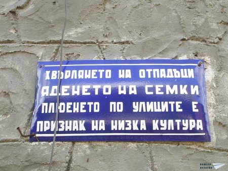 Още една останала каменна костенурка в София