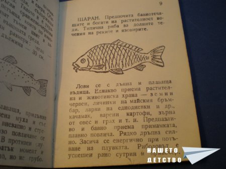 Книжки с марки и печати