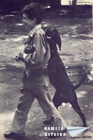 Нашата София 1979