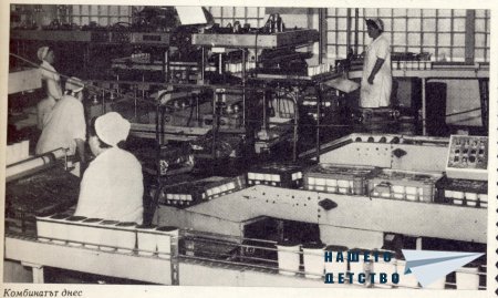 Нашата София 1980