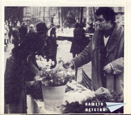 Нашата София 1981
