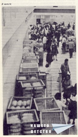 Нашата София 1981