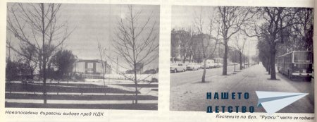 Нашата София 1981