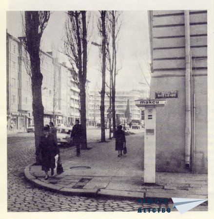 Нашата София 1981