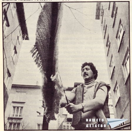 Нашата София 1982