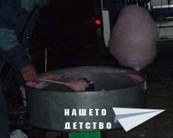 Захарен памук