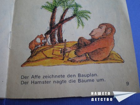 BUMMI