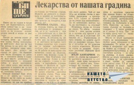 Практична домакиня - Пролет