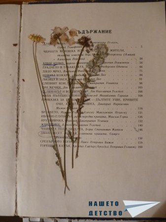 Хербарий